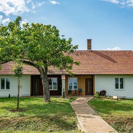 House Of The Golden Horse In Hosszureti Lovas Major Apartment Torokbalint Exterior photo